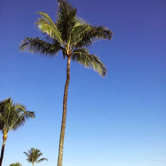 Meet your Posher, Luke - Picture 1 of 1